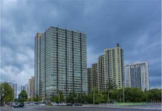 白色系绿植租摆价格